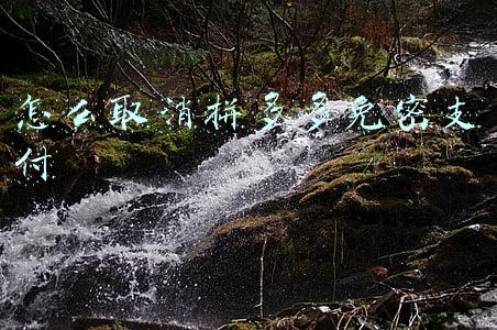 怎么取消拼多多免密支付银行卡(如何关闭拼多多的拼小圈和免密支付功能)