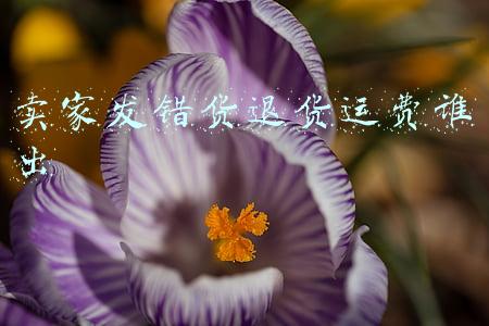 卖家发错货退货运费谁出