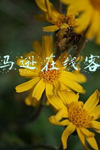亚马逊在线客服