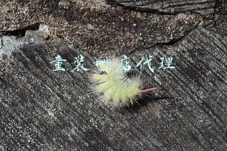 免费童装代理(藏在小区里的童装店，用了4个小妙招，每月纯利润高达2万)