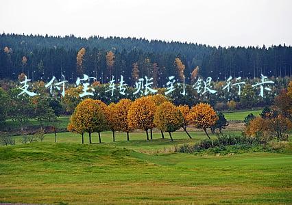 支付宝转账到银行卡 支付宝转账到银行卡
