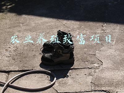 农业养殖致富项目