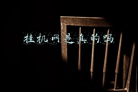 挂机网是真的吗