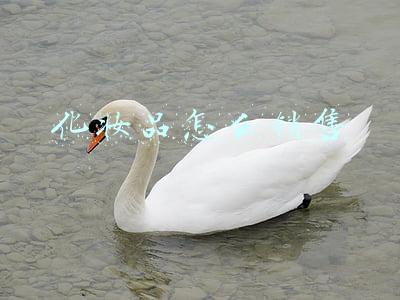 化妆品怎么销售