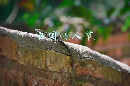 中国情人节