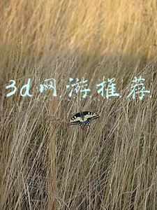 3d网游推荐