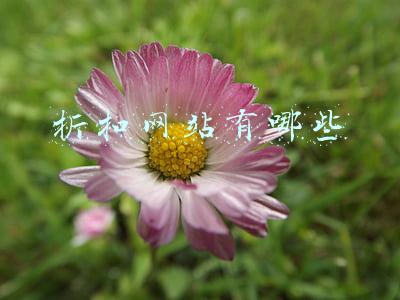 折扣网站有哪些