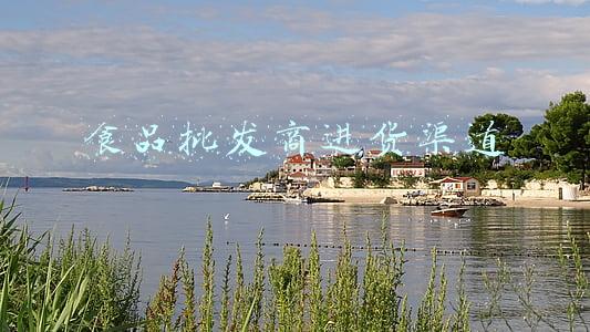 温州副食品批发商进货渠道(浙江：“二师兄”降价了 温州新增一家猪肉批发中心)