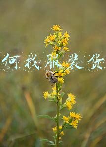 如何找服装货源