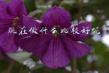 现在做什么比较好呢