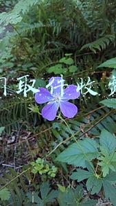 上门取件收费吗