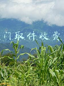 上门取件收费吗