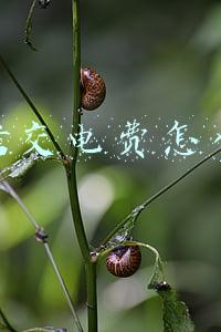 微信交电费怎么交