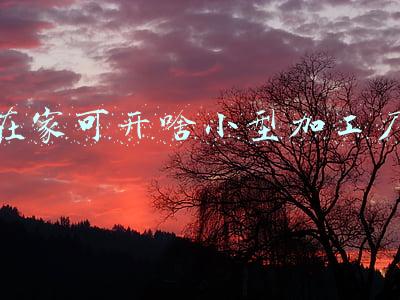 在家可开啥小型加工厂