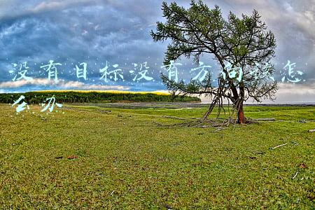 没有目标没有方向该怎么办