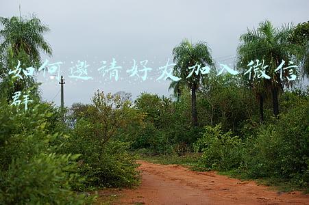 如何邀请好友加入微信群