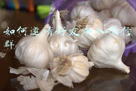 如何邀请好友加入微信群