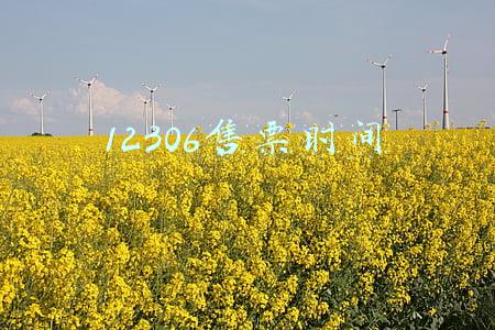 12306售票时间从几点到几点(7月31日起，铁路12306网站延长售票改签服务时间)