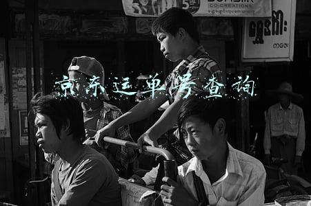 京东运单号查询