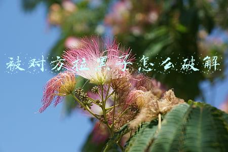 被对方拉黑了怎么破解