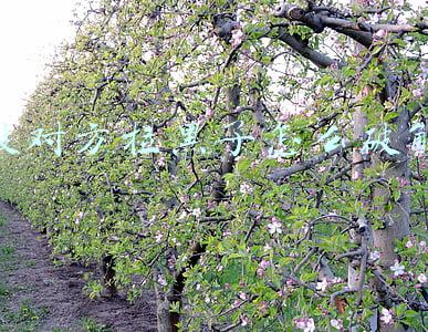 快手被对方拉黑了怎么破解(一个月了，各大app互相解除屏蔽了吗)