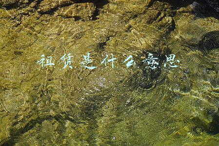 光船租赁是什么意思(一句话说清程租、期租、光租的区别)