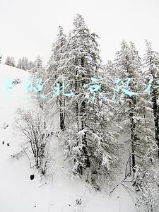 外地牌照北京限行规定