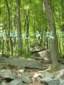 外地牌照北京限行规定