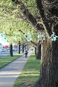 巴宝莉官网香水 巴宝莉官网香水