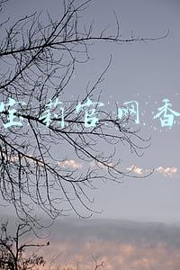 巴宝莉官网香水