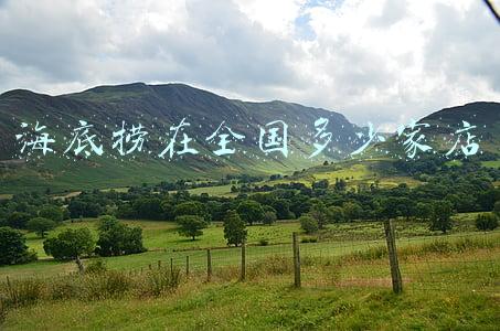 目前,海底捞集团在国外有多少家餐厅？_海底捞在中国有多少家店