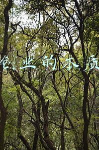 创业的本质
