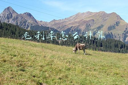 毛利率怎么计算