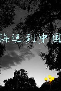 日本海运到中国多久