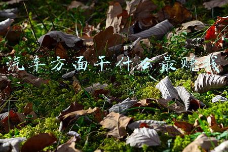 汽车方面干什么最赚钱