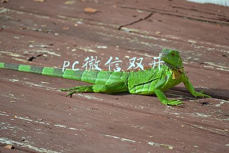 pc微信双开