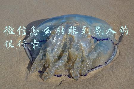 微信怎么转账到别人的银行卡