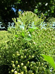 七天无理由退货运费谁承担