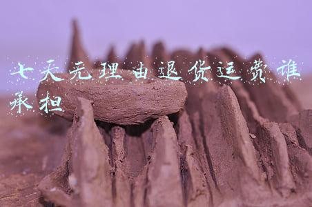 七天无理由退货运费谁承担