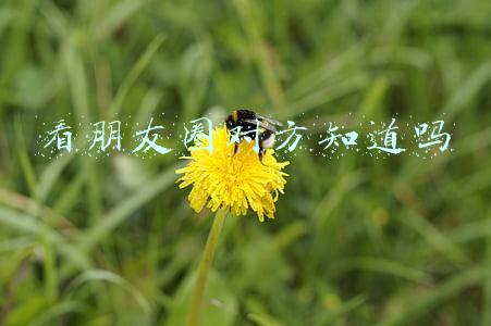 看朋友圈对方知道吗