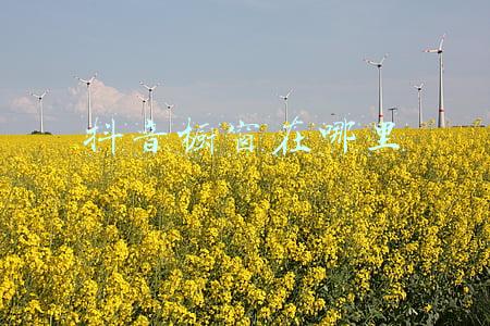 抖音橱窗在哪里