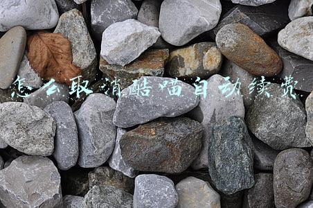 苹果手机怎么取消酷喵自动续费(《微信》取消酷猫会员自动续费方法)