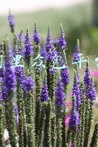 阿里众包平台