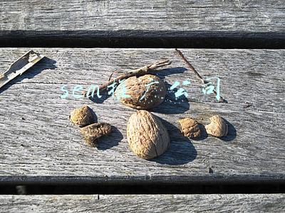 sem网络推广公司(SEO和SEM的区别在哪里?优势在哪里?该如何选择？)