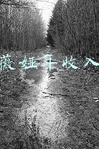 薇娅年收入