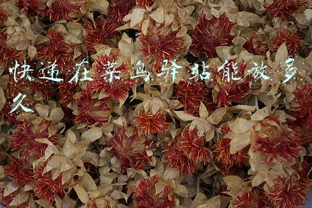 快递在菜鸟驿站能放多久