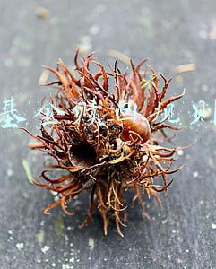 基金赎回规则