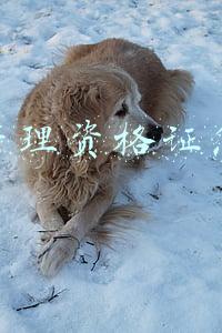 安全管理资格证怎么考
