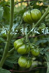 微商的推广方式(中国微商细分20种模式总结)