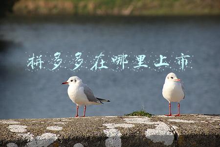 拼多多在哪里上市股票代码(拼多多最新股权结构曝光：黄峥持股比例降至29.4%，投票权降至80.7%)
